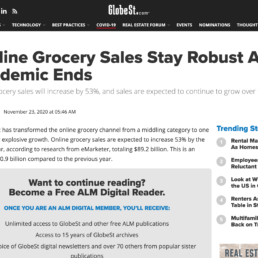Can Online Grocery Sales Stay Robust After the Pandemic Ends