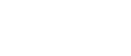 wawa logo